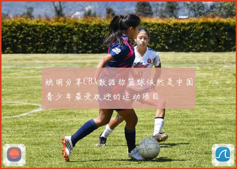 姚明分享CBA数据称篮球依然是中国青少年最受欢迎的运动项目